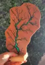 Arbre de vie vert foncé